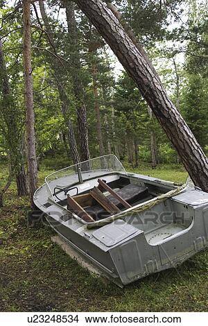 Picture - Boat, Calm, Dense, Forest, Glass. Fotosearch