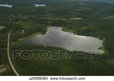 forest, aerial view, landscape, view, vista, aerial View Large Photo Image Picture - forest, aerial view, landscape, view, vista, aerial. Fotosearch