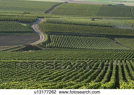 Stock Image - outdoor, nature, natural, environment, beauty, climate. Fotosearch