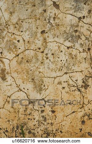Stock Photograph - background, appearance. Fotosearch