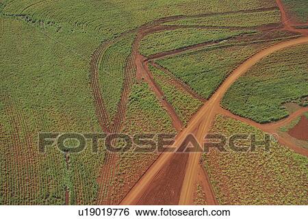 Stock Photograph - aerial view, agriculture, aerial. Fotosearch