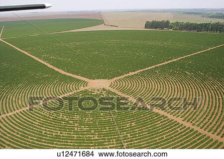 Picture - agricultural land, agriculture, aerial view. Fotosearch