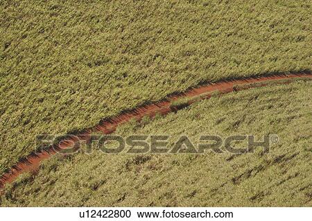 agricultural land, agriculture, aerial view View Large Photo Image Stock Image - agricultural land, agriculture, aerial view. Fotosearch