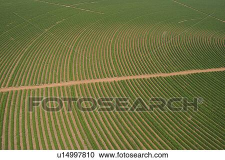 Stock Image - agricultural land, agriculture, aerial view. Fotosearch