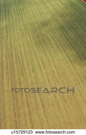 agricultural land, agriculture, aerial view View Large Photo Image Stock Image - agricultural land, agriculture, aerial view. Fotosearch