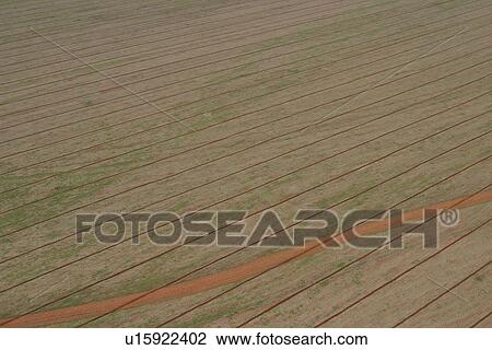 Stock Image - agricultural land, agriculture, aerial view. Fotosearch