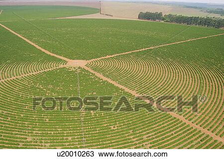 agricultural land, agriculture, aerial view View Large Photo Image Stock Image - agricultural land, agriculture, aerial view. Fotosearch