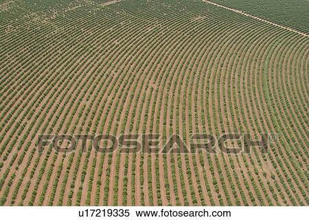 Stock Photography - agricultural land, agriculture, aerial view. Fotosearch