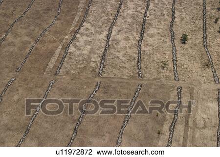agriculture, array, aerial view View Large Photo Image Stock Image - agriculture, array, aerial view. Fotosearch