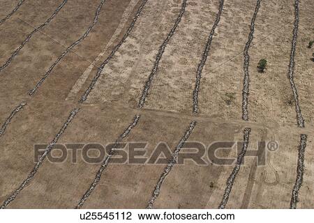 Stock Image - agriculture, array, aerial view. Fotosearch