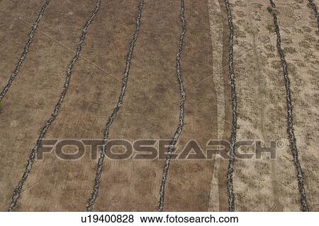 agriculture, array, aerial view View Large Photo Image Stock Photo - agriculture, array, aerial view. Fotosearch
