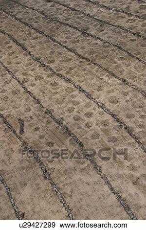 Stock Photo - agriculture, array, aerial view. Fotosearch