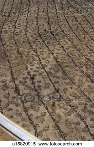 agriculture, array, aerial view View Large Photo Image Stock Photography - agriculture, array, aerial view. Fotosearch