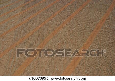 Stock Photography - agriculture, array, aerial view. Fotosearch