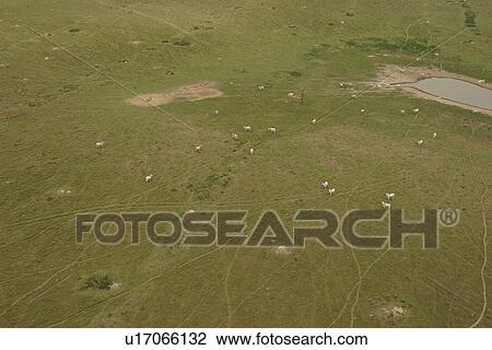 agriculture, blotchy, aerial view View Large Photo Image Stock Image - agriculture, blotchy, aerial view. Fotosearch