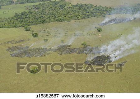 agriculture, burn, aerial view View Large Photo Image Stock Photo - agriculture, burn, aerial view. Fotosearch