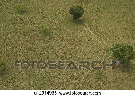 agriculture, calm, aerial view View Large Photo Image Stock Photography - agriculture, calm, aerial view. Fotosearch