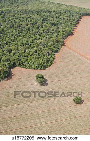 background, cluster, aerial View Large Photo Image Stock Photography - background, cluster, aerial. Fotosearch