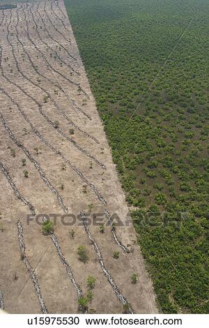 boundary, cluster, aerial view View Large Photo Image Stock Image - boundary, cluster, aerial view. Fotosearch