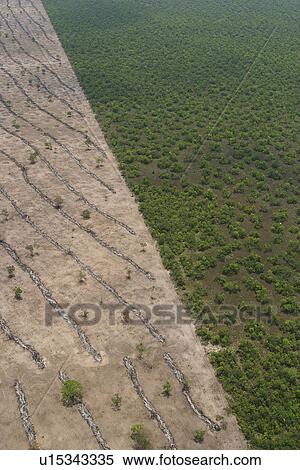 Stock Photography - boundary, cluster, aerial view. Fotosearch