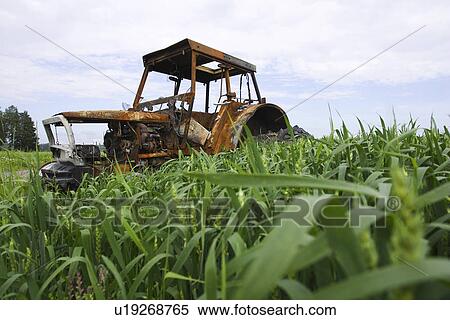 Stock Photography - Agricultural Equipment, Cultivated, Crop, Cloud, Abandoned. Fotosearch