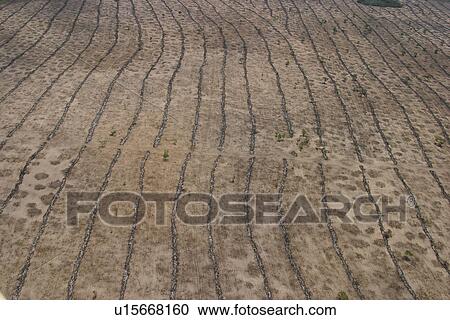 agriculture, array, aerial view View Large Photo Image Stock Image - agriculture, array, aerial view. Fotosearch