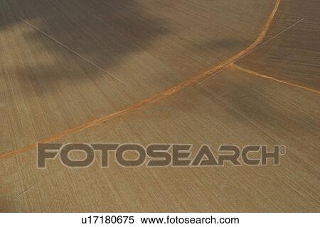 Stock Photography - agriculture, array, aerial view. Fotosearch