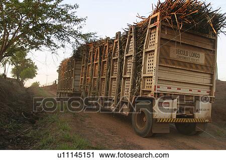 Stock Image - big rig, brown, agriculture. Fotosearch