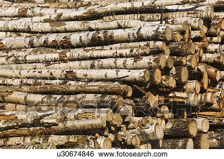 Close-Up, Day, Firewood, Group Of Objects View Large Photo Image Stock Photograph - Close-Up, Day, Firewood, Group Of Objects. Fotosearch