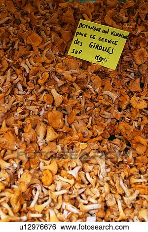 close-up, mushrooms, food, foodstuff, dried, dehydrated View Large Photo Image Stock Photograph - close-up, mushrooms, food, foodstuff, dried, dehydrated. Fotosearch