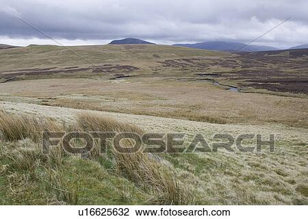 Cloudscape, Day, Distant, Field, Grass View Large Photo Image Stock Image - Cloudscape, Day, Distant, Field, Grass. Fotosearch