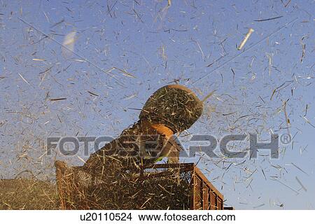 crop, day, dust View Large Photo Image Picture - crop, day, dust. Fotosearch