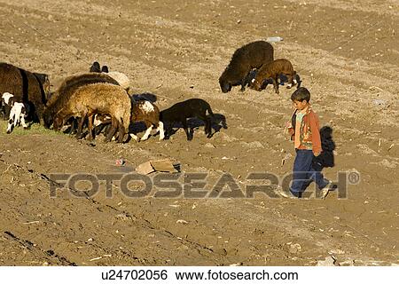 Stock Photograph - Elementary Age, Day, Child, Casual Clothing, 8-9 Years. Fotosearch