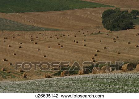 outdoor, nature, natural, environment, ground, landscape View Large Photo Image Stock Image - outdoor, nature, natural, environment, ground, landscape. Fotosearch