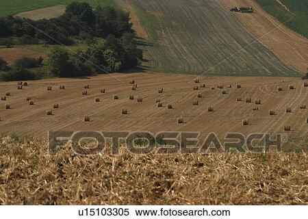 outdoor, nature, natural, environment, ground, landscape View Large Photo Image Stock Photography - outdoor, nature, natural, environment, ground, landscape. Fotosearch