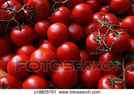 Stock Image - tomatoes, edible, food, food stuff, fresh, grown. Fotosearch