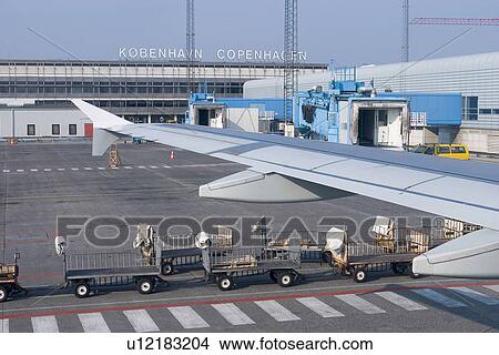 Picture - jet, plane, powered, airplane, aircraft, aeroplane. Fotosearch
