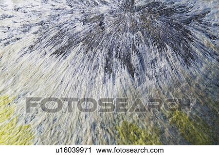 Stock Image - Background, Pattern. Fotosearch