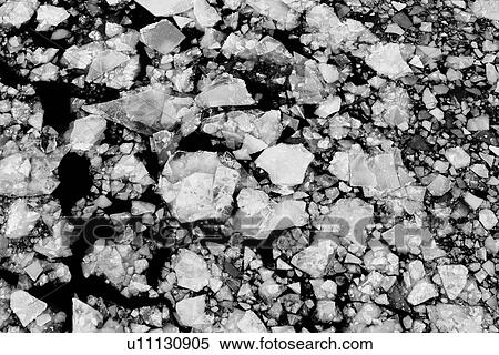 gray, rocks, stones, pebbles, surface, texture View Large Photo Image Stock Photography - gray, rocks, stones, pebbles, surface, texture. Fotosearch