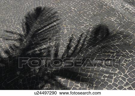 Stock Image - arrangement, character, background, appearance. Fotosearch