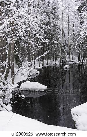 Stock Photography - Bare Tree, Black And White, Covering, Day, Generic Location, Lake. Fotosearch