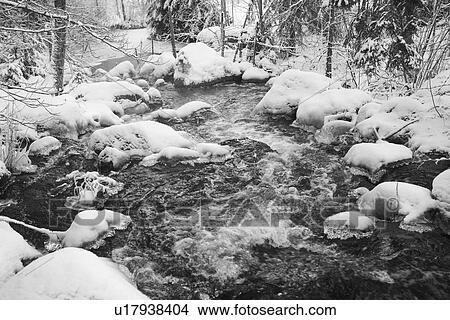 Picture - Black And White, Branch, Day, Flowing Water. Fotosearch