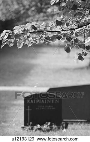 Stock Photo - Black And White, Cemetery, Close-Up, Day, Focus On Foreground, Leaves. Fotosearch