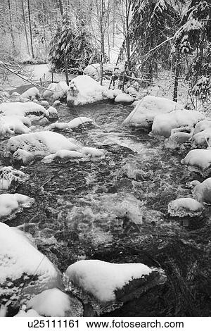 Stock Image - Black And White, Day, Flowing Water, Forest, Frozen, Generic Location. Fotosearch