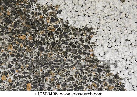 Stock Photograph - Black, Close-Up, Multi-Colored. Fotosearch