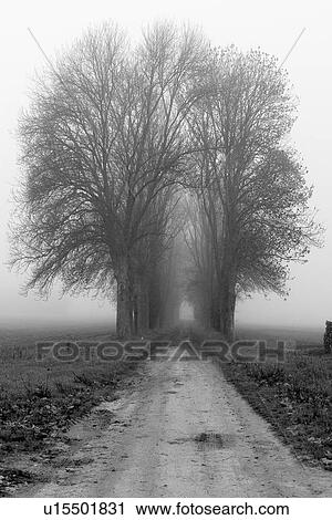 boulevard, way, road, natural, environment, day View Large Photo Image Stock Image - boulevard, way, road, natural, environment, day. Fotosearch