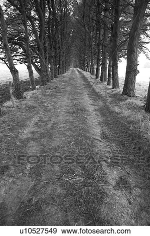 B&W, black & white, black and white, bw View Large Photo Image Stock Photo - B&W, black & white, black and white, bw. Fotosearch
