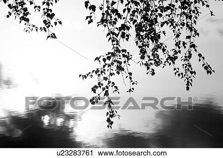 Stock Image - B&W, black & white, black and white, climate. Fotosearch