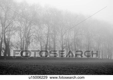 natural, environment, day, serene, calm, outdoors View Large Photo Image Stock Photo - natural, environment, day, serene, calm, outdoors. Fotosearch