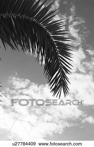 Stock Photo - Outdoors, Air, Ambience. Fotosearch